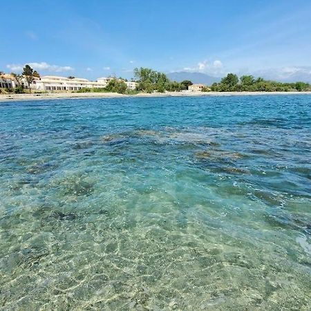 Marine De Bravone T2 Terrasse Front De Mer - Plage Pieds Dans L'Eau - Clim - Piscine - Wifi Linguizzetta Exterior photo