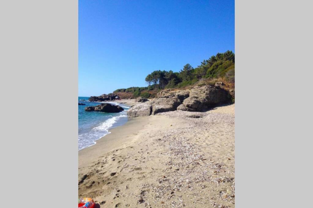 Marine De Bravone T2 Terrasse Front De Mer - Plage Pieds Dans L'Eau - Clim - Piscine - Wifi Linguizzetta Exterior photo