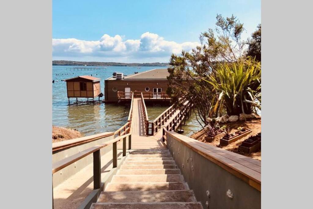 Marine De Bravone T2 Terrasse Front De Mer - Plage Pieds Dans L'Eau - Clim - Piscine - Wifi Linguizzetta Exterior photo