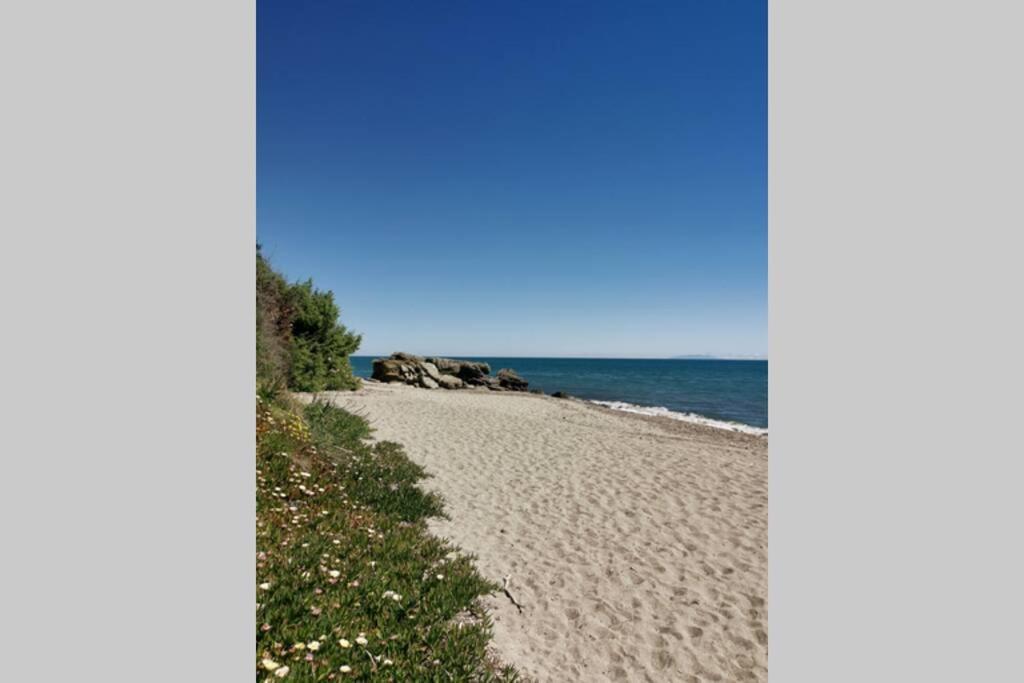 Marine De Bravone T2 Terrasse Front De Mer - Plage Pieds Dans L'Eau - Clim - Piscine - Wifi Linguizzetta Exterior photo