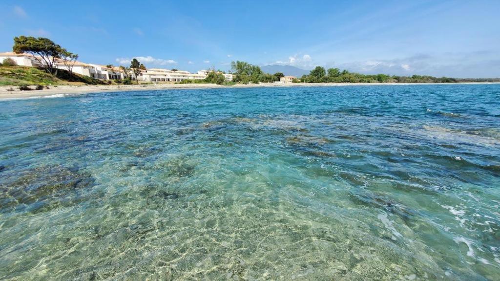Marine De Bravone T2 Terrasse Front De Mer - Plage Pieds Dans L'Eau - Clim - Piscine - Wifi Linguizzetta Exterior photo